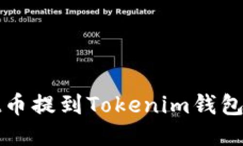 如何将Bit币提到Tokenim钱包：详细指南