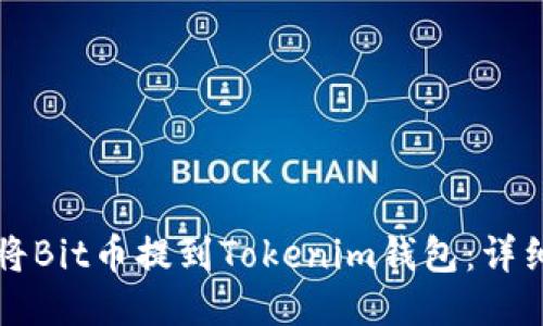 如何将Bit币提到Tokenim钱包：详细指南