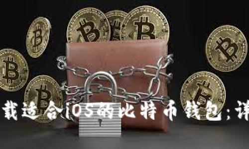如何下载适合iOS的比特币钱包：详细指南