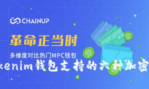 Tokentokenim钱包支持的六种加密货币概览