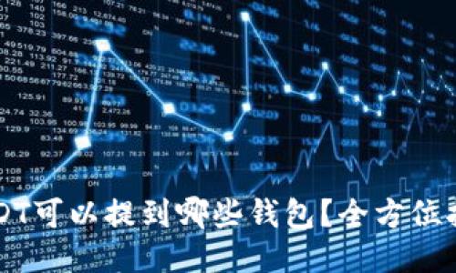 USDT可以提到哪些钱包？全方位指南