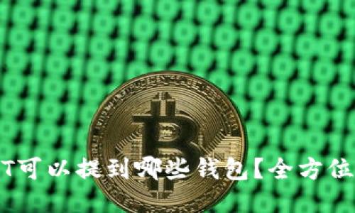 USDT可以提到哪些钱包？全方位指南