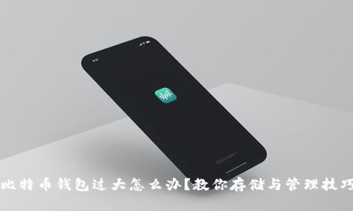 比特币钱包过大怎么办？教你存储与管理技巧