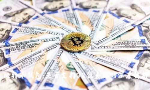 比特币钱包：是否支持32位系统的深度解析