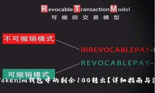 如何将Tokenim钱包中的剩余100转出？详细指南与注意事项