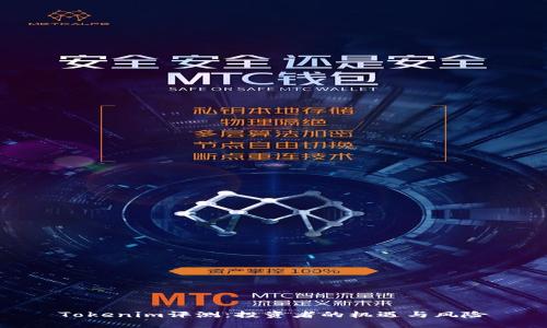 Tokenim评测：投资者的机遇与风险