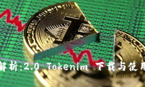 全面解析：2.0 Tokenim 下载与使用教程
