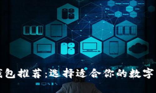 以太坊存储钱包推荐：选择适合你的数字资产管理工具