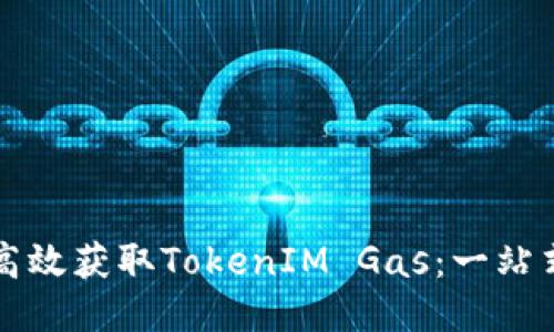 如何高效获取TokenIM Gas：一站式指南