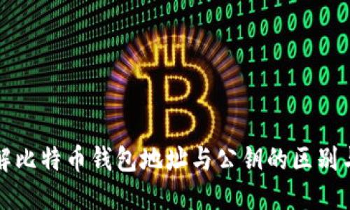 深入了解比特币钱包地址与公钥的区别与重要性