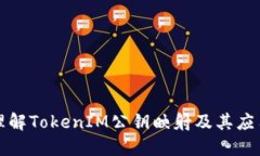 深入理解TokenIM公钥映射及