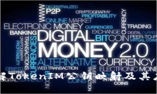 深入理解TokenIM公钥映射及其应用场景