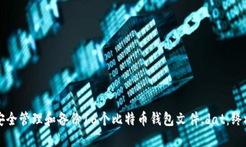 如何安全管理和备份16个比特币钱包文件.dat：终极指南