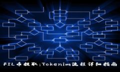 FIL币提取：Tokenim流程详细