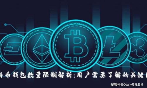 比特币钱包数量限制解析：用户需要了解的关键因素