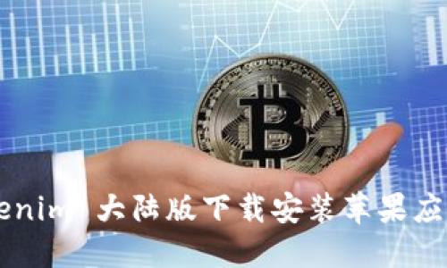 如何在 Tokenim 大陆版下载安装苹果应用：详细教程