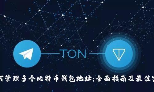 如何管理多个比特币钱包地址：全面指南及最佳实践