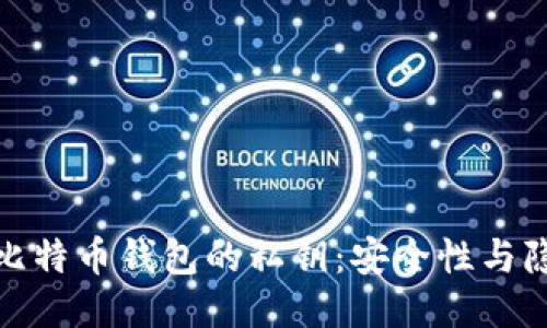 如何查看比特币钱包的私钥：安全性与隐私的平衡