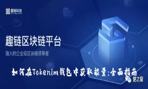 如何在Tokenim钱包中获取能量：全面指南
