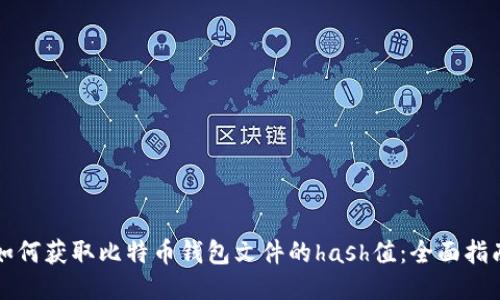 如何获取比特币钱包文件的hash值：全面指南