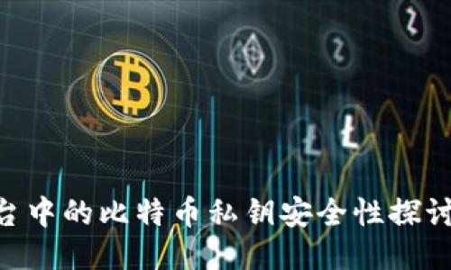 Tokenim平台中的比特币私钥安全性探讨与管理策略