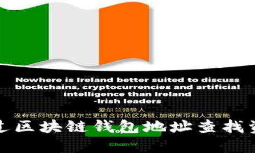 如何通过区块链钱包地址查找资产信息