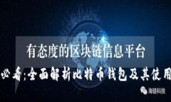 新手必看：全面解析比特