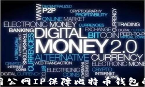 
如何使用公网IP保障比特币钱包的安全性