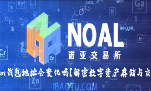 Tokenim钱包地址会变化吗？解密数字资产存储与交易安全