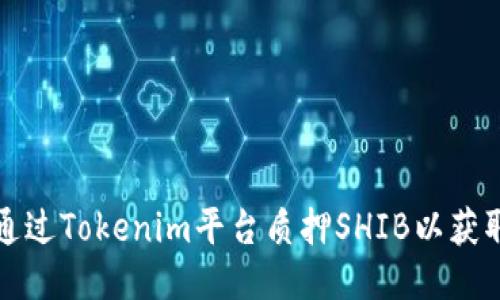 如何通过Tokenim平台质押SHIB以获取收益