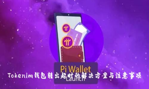 Tokenim钱包转出超时的解决方案与注意事项