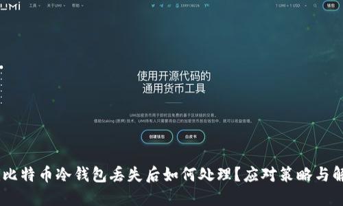 biatoti比特币冷钱包丢失后如何处理？应对策略与解决方案