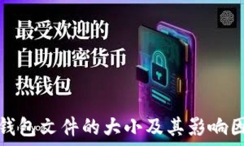   
比特币钱包文件的大小及其影响因素详解