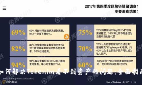 如何解决Tokenim看不到资产的问题：全面指南
