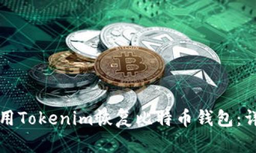 如何使用Tokenim恢复比特币钱包：详尽指南