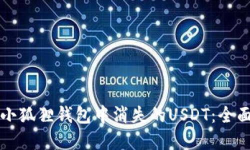 如何找回小狐狸钱包中消失的USDT：全面解决指南