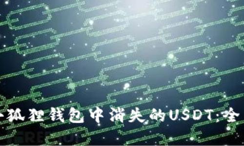如何找回小狐狸钱包中消失的USDT：全面解决指南