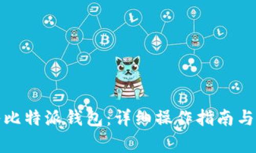 如何将币转入比特派钱包：详细操作指南与常见问题解答