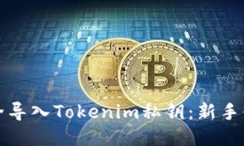 如何安全导入Tokenim私钥：新手必看指南