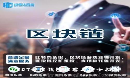 USDT常用钱包推荐与安全指南