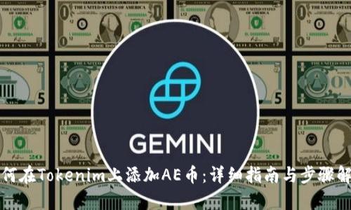 如何在Tokenim上添加AE币：详细指南与步骤解析