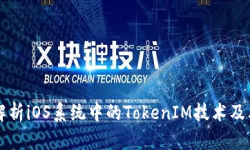 全面解析iOS系统中的TokenIM技术及其应用