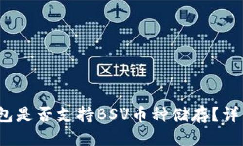 Tokentokenim钱包是否支持BSV币种储存？详细解析与使用指南