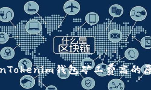 解析TokenTokenim钱包矿工费高的原因及策略