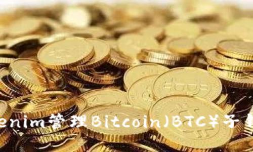 如何使用Tokenim管理Bitcoin（BTC）子钱包：全面指南