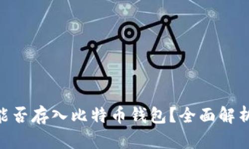 BSV币能否存入比特币钱包？全面解析与指导