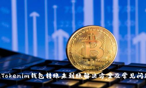 TokenTokenim钱包转账未到账解决方案及常见问题解答