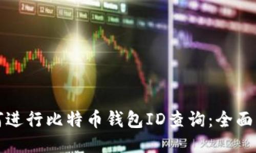 如何进行比特币钱包ID查询：全面指南