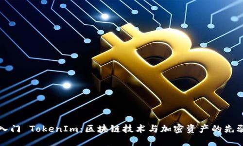 快速入门 TokenIm：区块链技术与加密资产的先驱之路