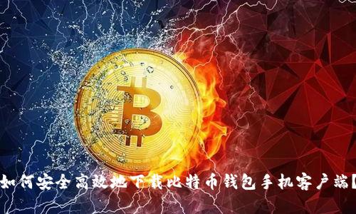 如何安全高效地下载比特币钱包手机客户端？